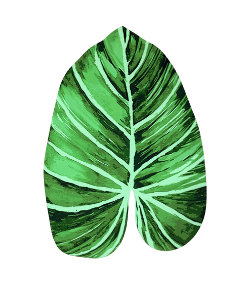 Vannimatt „Leaf mat“. Vannitoa vaibad